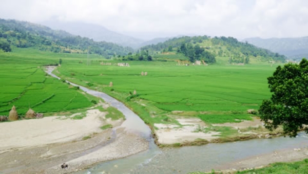 ネパールの水田風景