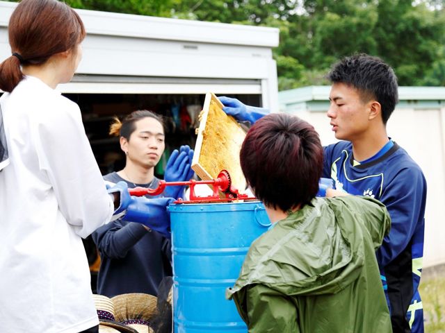 今年も「拓大ハチミツ」の収穫に成功7