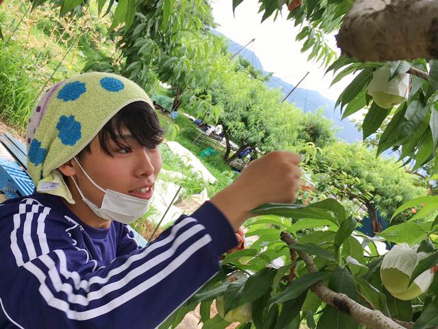 山梨にて「ハタチの畑プロジェクト」始動2