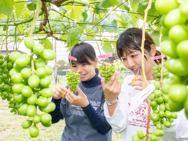 山梨にて「ハタチの畑プロジェクト」始動9