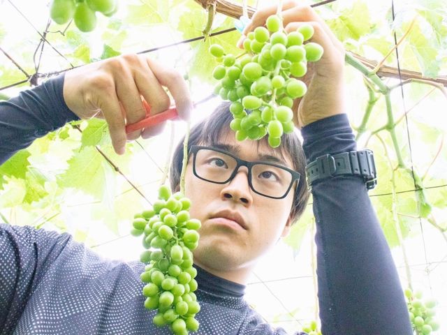 山梨にて「ハタチの畑プロジェクト」始動11