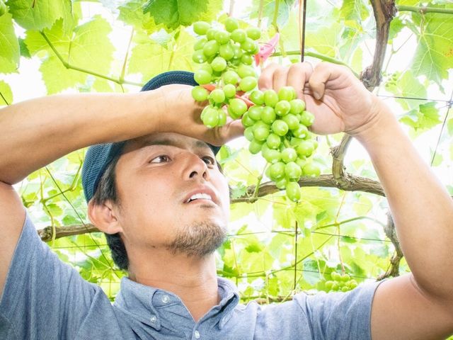 山梨にて「ハタチの畑プロジェクト」始動12