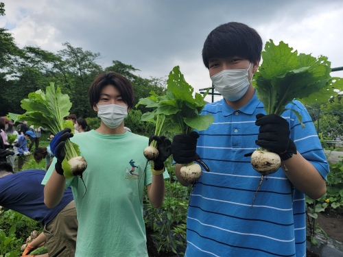 今年も野菜の収穫が好調です!農業総合コース2