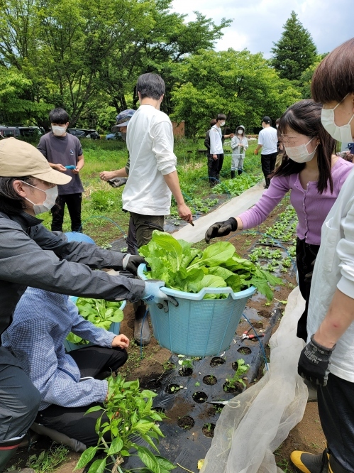 今年も野菜の収穫が好調です!農業総合コース3