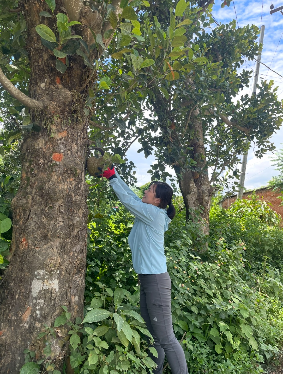 20251008_takeshita.m_02